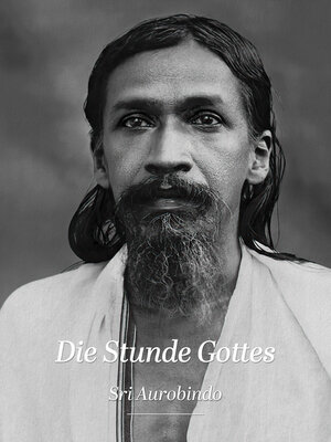 cover image of Die Stunde Gottes